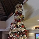 �� � ������� ! �� ������� ���� ����������