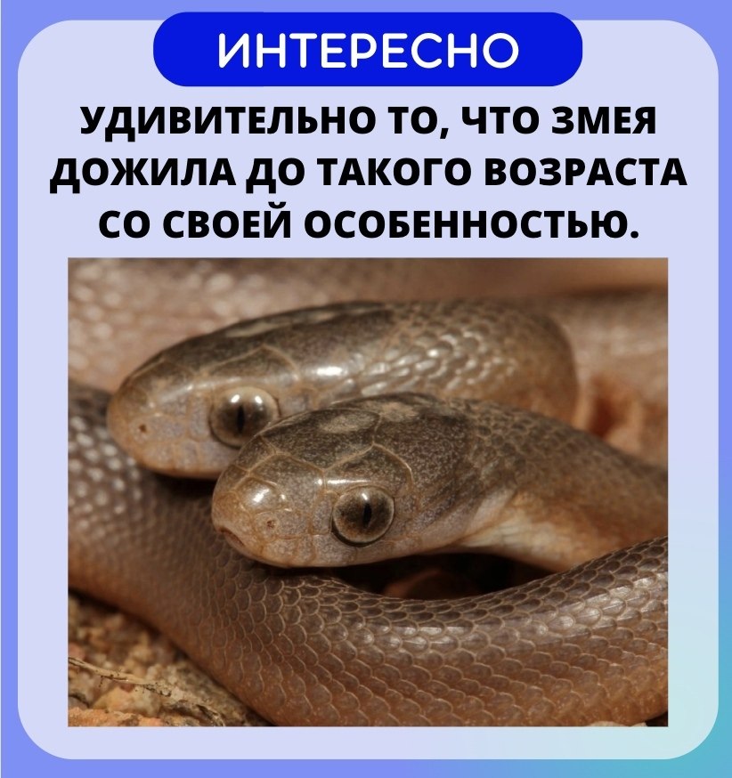   - ! - 4  2022  16:36 - 3
