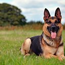 ���� �-���������, ��������� - ��������� 26 ����� 2022 � ������ ���� ����������