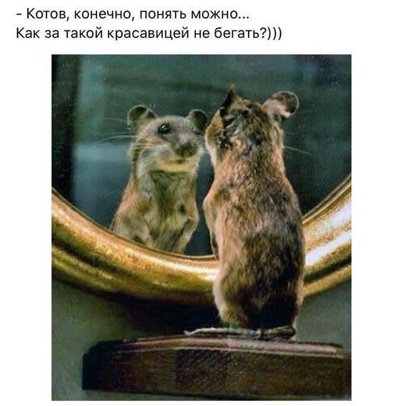 �������� ������ - 12 ������ 2022 � 06:11