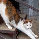 ���� ������, ���������, 62 ���� - ��������� 24 ������ 2023