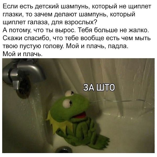    - 26  2022  11:33