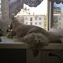 ���� ������, ������, 55 ��� - ��������� 12 ������� 2022 � ������ ���� ����������