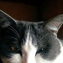 ���� ������, �����������, 53 ���� - ��������� 17 ������� 2023 � ������ ���� ����������