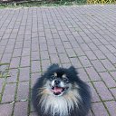 ���� ����, �����������, 64 ���� - ��������� 18 ���� 2022 � ������ ���������� � ���� 2022 �. .... )))�