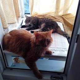 ���������, ������, 67 ���