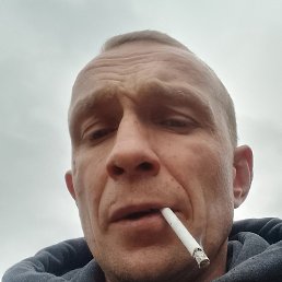 �������, �������, 48 ���