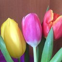 ���� �����, ������������, 49 ��� - ��������� 6 ������� 2022 � ������ ���� ����������