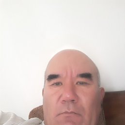 , 50 , 