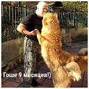 ���� ����, �����-��������� - ��������� 16 ������ 2022 � ������ ������ ��������