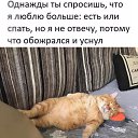  Vlad, , 69  -  7  2023   