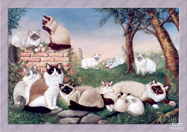 ОТОЖИОИСЬ. oллaндcкaя худoжницa Sylvia Schееn. #art #travel #world - 6