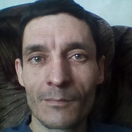 �����, ���������, 40 ���