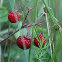 ���� ���������, �����, 67 ��� - ��������� 17 ��� 2022 � ������ ������ ����