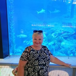 ���� �������, ������ ��������, 56 ��� - ��������� 18 ������ 2022