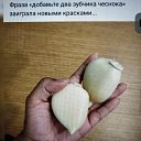 ���� �������, ���������� ����� - ��������� 16 ������ 2022 � ������ ���� ����������