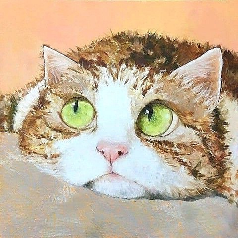 p o, :  a.  :  e. c.  o:   ,  py! ...