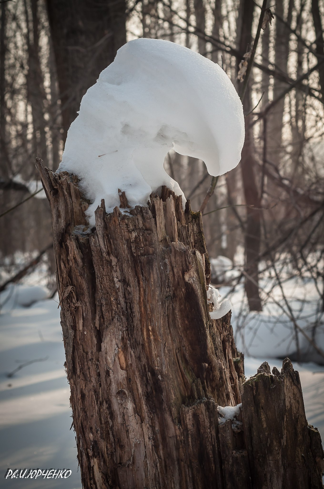  - 2  2023  10:42 - 6