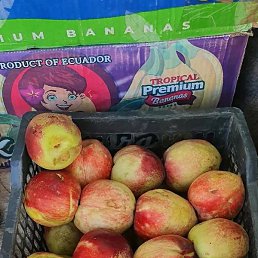 ���, ������, 38 ���