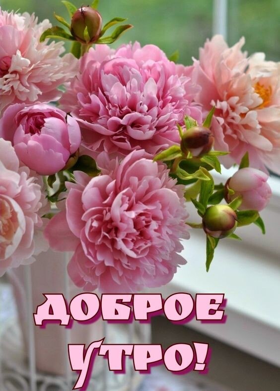 Доброе утро, Жизнь!.. Удачного нам понедельника!..... Какими бы ни были ваши желания — пусть они ...