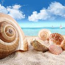 ���� ��������, ���������, 43 ���� - ��������� 7 ������� 2023 � ������ ���� ����������