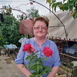 ���� �������, ��������, 61 ��� - ��������� 2 ������� 2023