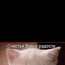 ���� ������, ������, 45 ��� - ��������� 2 ������� 2023