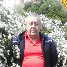 �����, �������, 68 ���