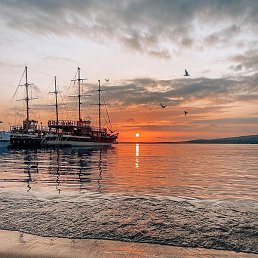 ����������, ������, 37 ���