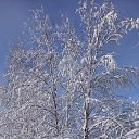 ���� �������, ����������� - ��������� 9 ������ 2023 � ������ ���� ����������