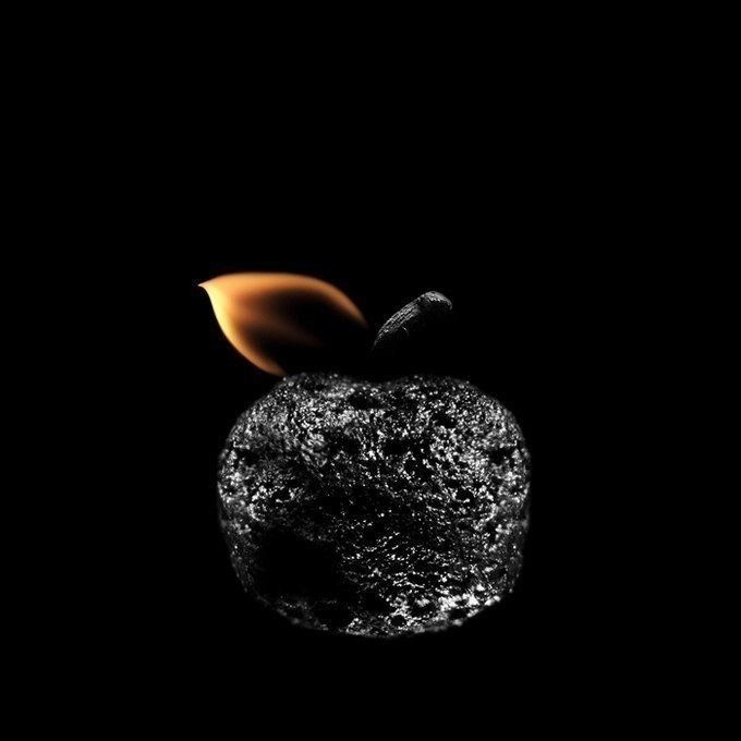    - 25  2022  00:56 - 7