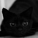 ���� 9 ��� �����- ����!!!, ��������� - ��������� 31 ������� 2022 � ������ ����� � *�����*...�