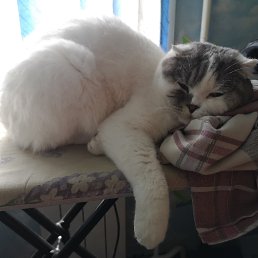 ���� ������, �������, 49 ��� - ��������� 23 ���� 2022