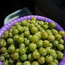 ���� �������, �����-���������, 65 ��� - ��������� 9 ������� 2022 � ������ ���� ����������