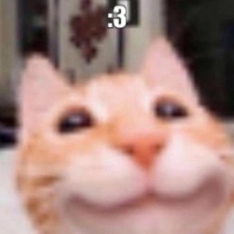 �������, ����, 38 ���