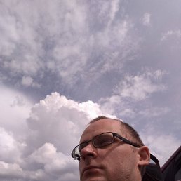 ���� �����, �����, 41 ��� - ��������� 8 ������� 2022