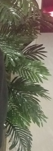 �������, �����, 60 ���