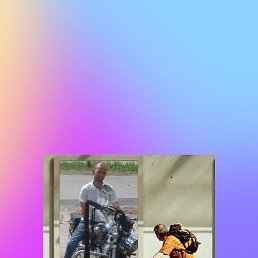 ��������, ������, 37 ���