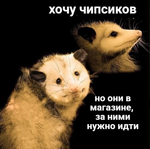    - 4  2022  02:34