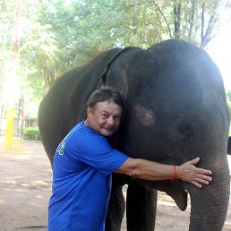 �����, 65 ���, �������