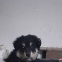 ���� �����, �����, 62 ���� - ��������� 16 ������ 2023