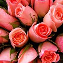 ���� ������, ������, 45 ��� - ��������� 1 ������ 2022 � ������ ���� ����������