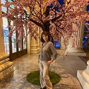 ���� ������, ����, 64 ���� - ��������� 16 ������� 2022 � ������ ���� ����������