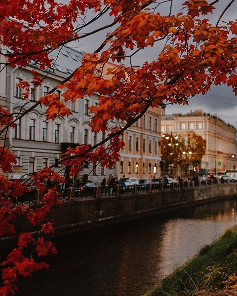 ����� ���������.Vilvetka