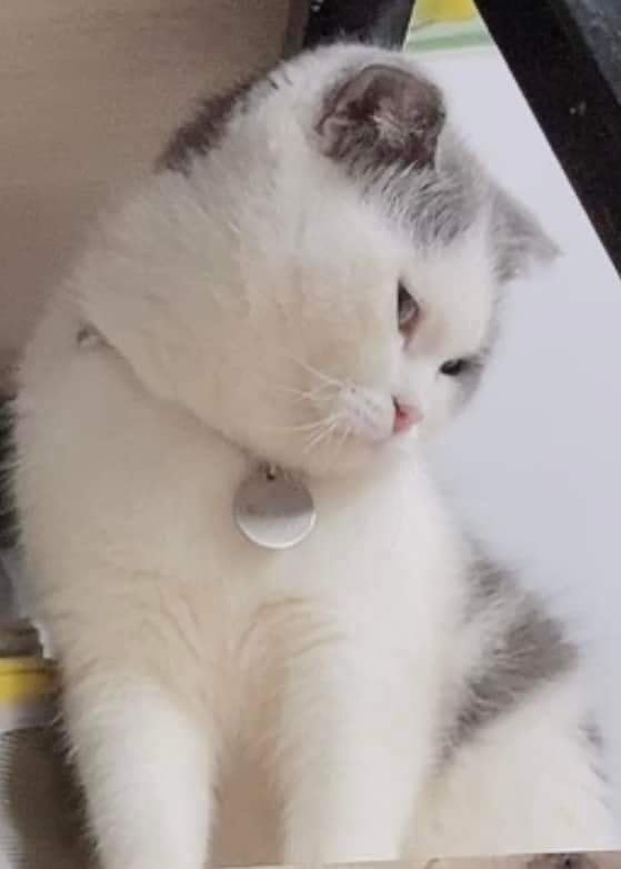 ��� ���� � ����� �� �� - 25 ������ 2022 � 13:30 - 3