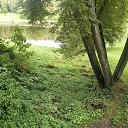 ���� �������, �����-���������, 39 ��� - ��������� 17 �������� 2022 � ������ ���� ����������