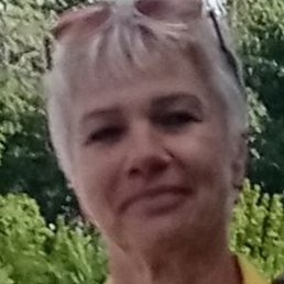 ��������, ���������, 66 ���