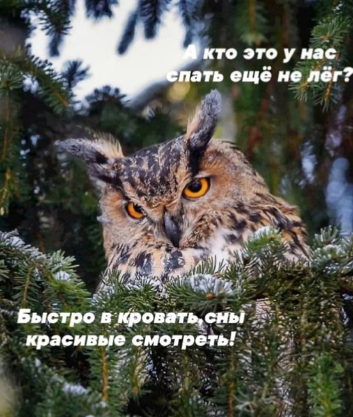   ,    . - 2  2023  21:02 - 6