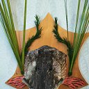 ���� �� 4.8 �� �� ������� ���� ������