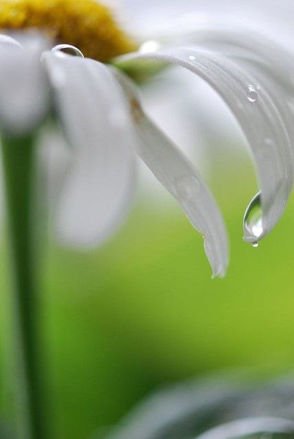 Далай-Лама.*Ничего не происходит напрасно, всё является подготовкой к следующей сцене.*Люди никогда ...